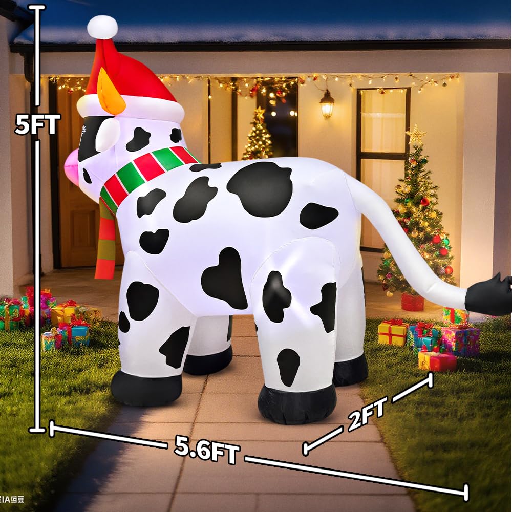 KOOY cow beside a person demonstrating scale and easy placement on yards