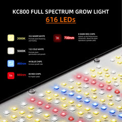 KOSCHEAL KC800 daisy-chain connection demonstrating tidy multi-light expansion