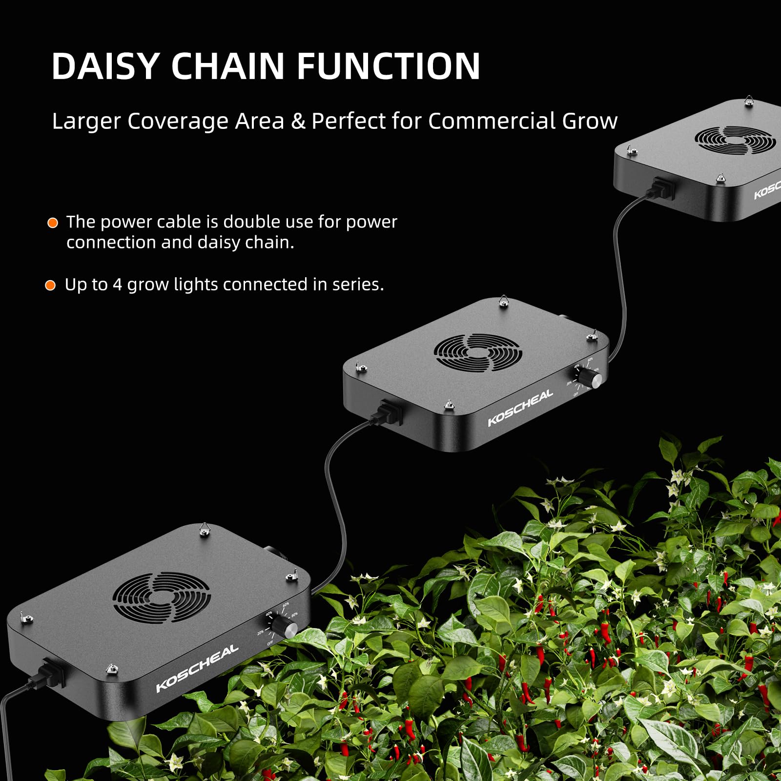 KOSCHEAL KC800 heat sink and fan detail showing efficient cooling and durability
