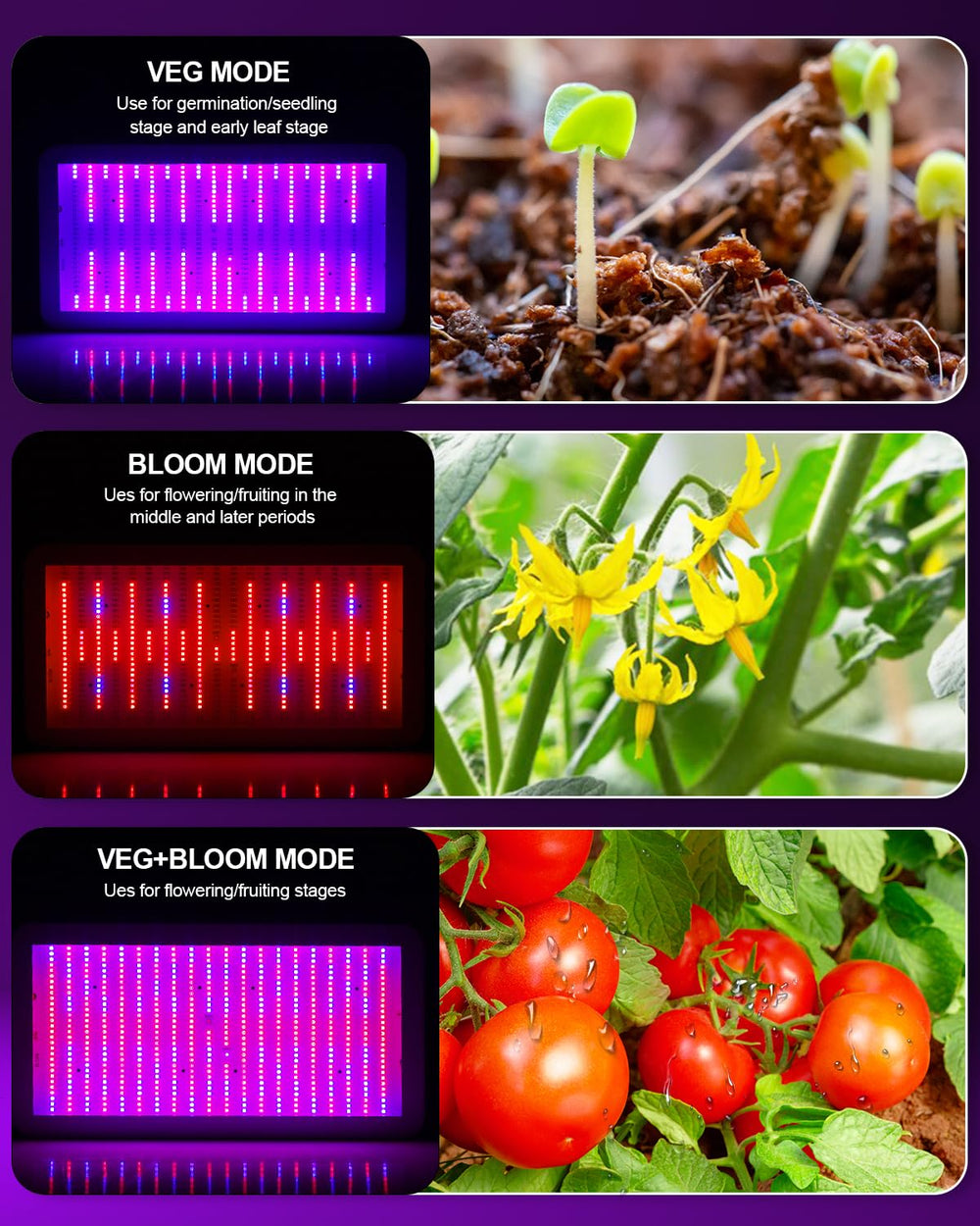 KOSCHEAL KS2000 coverage diagram showing 4x4 veg and 3.5x3.5 bloom area