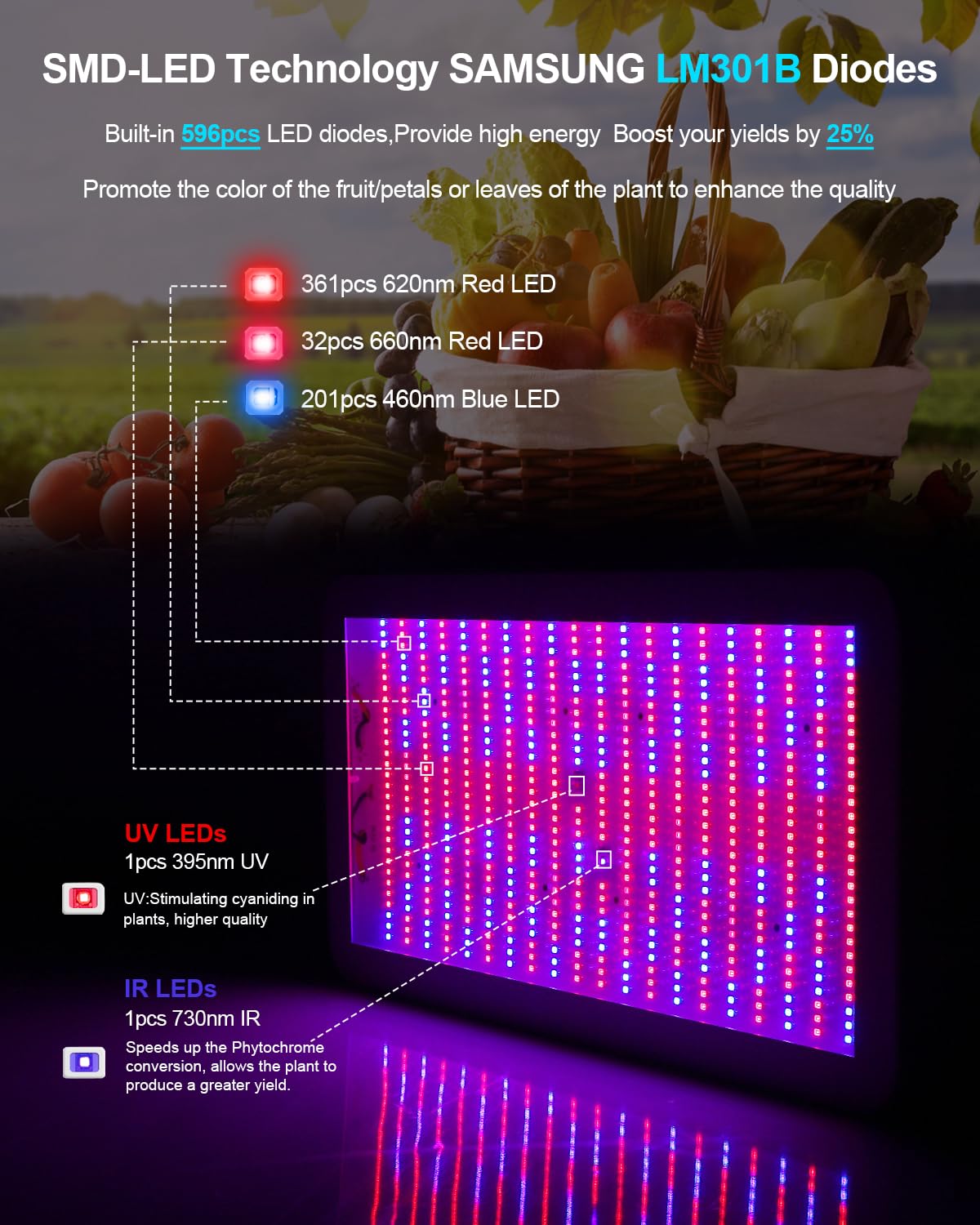 KOSCHEAL KS2000 veg and bloom switches displayed for tailored growth control