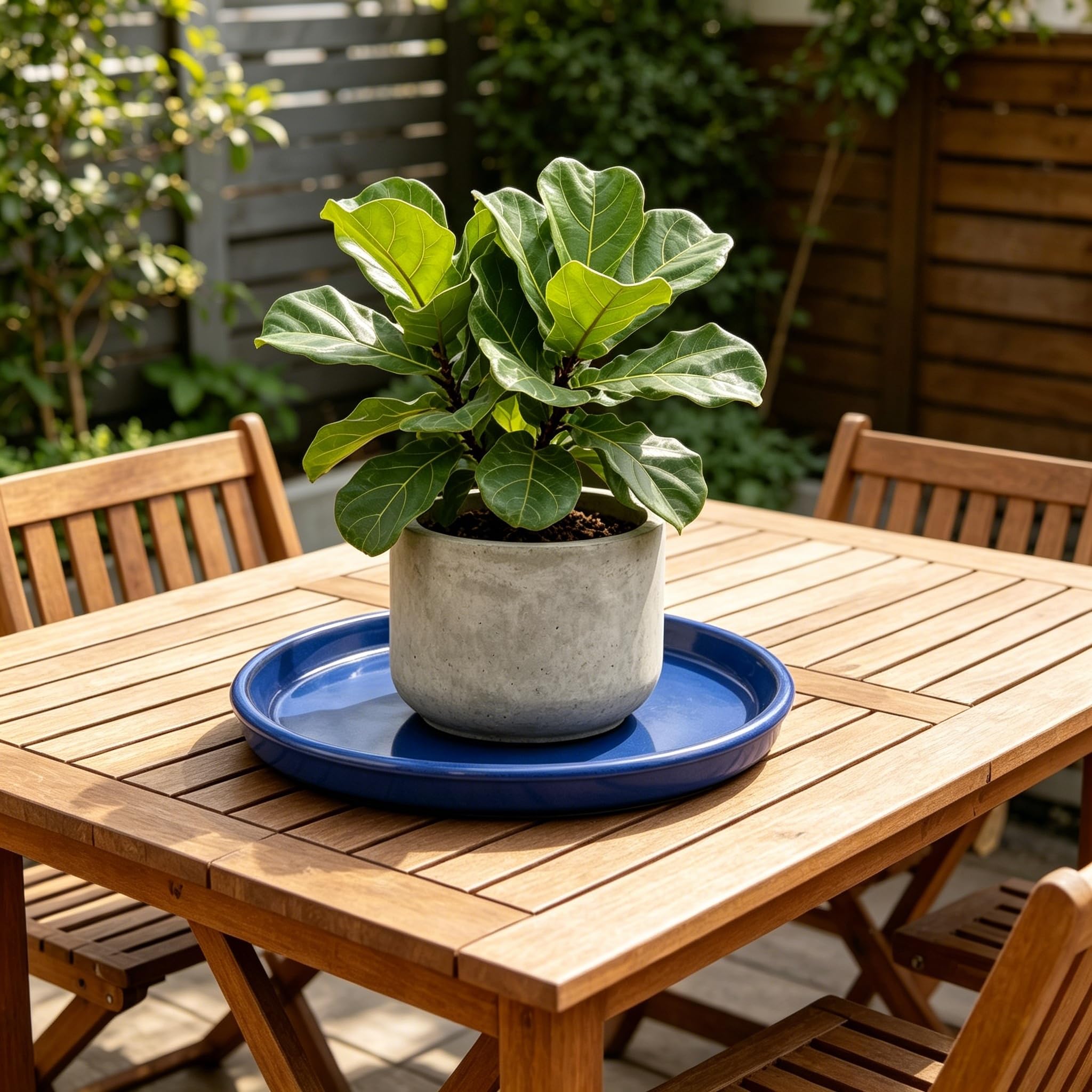 krayce Serenya bottom texture showing sturdy ceramic construction for durability