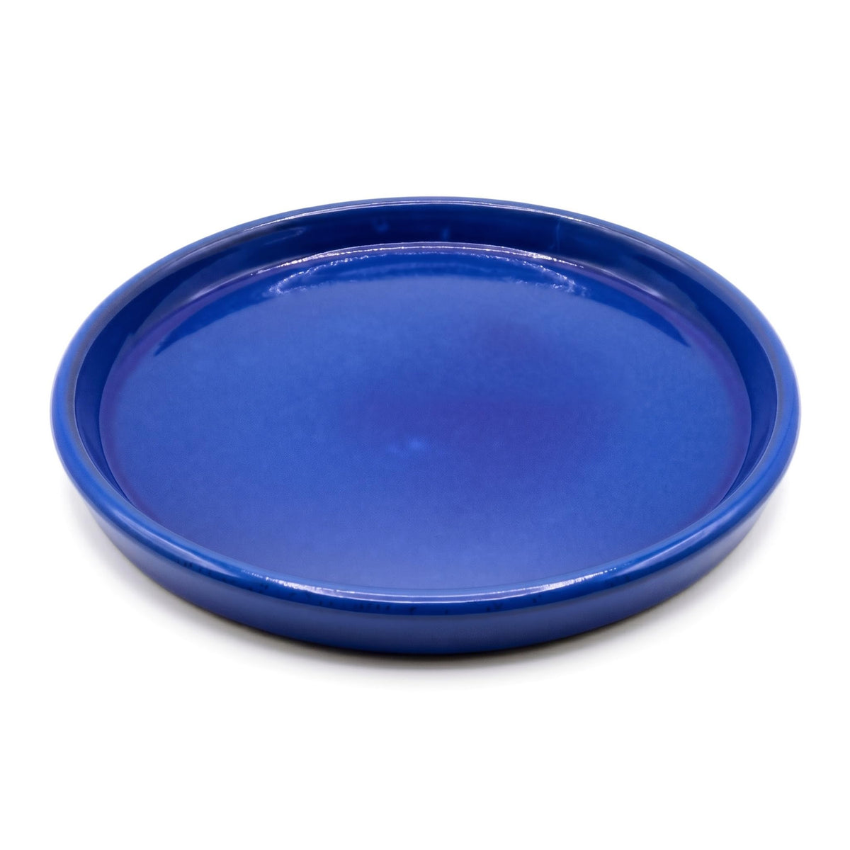 krayce Serenya front view of Falling Blue saucer showing elegant shape and protection