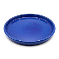 krayce Serenya front view of Falling Blue saucer showing elegant shape and protection