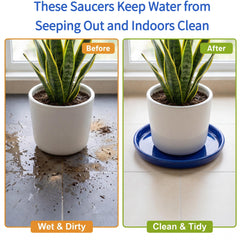 krayce Serenya top view with pot in saucer illustrating secure water collection
