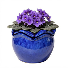 krayce Serenya front view glazed pot showing elegant decor and function