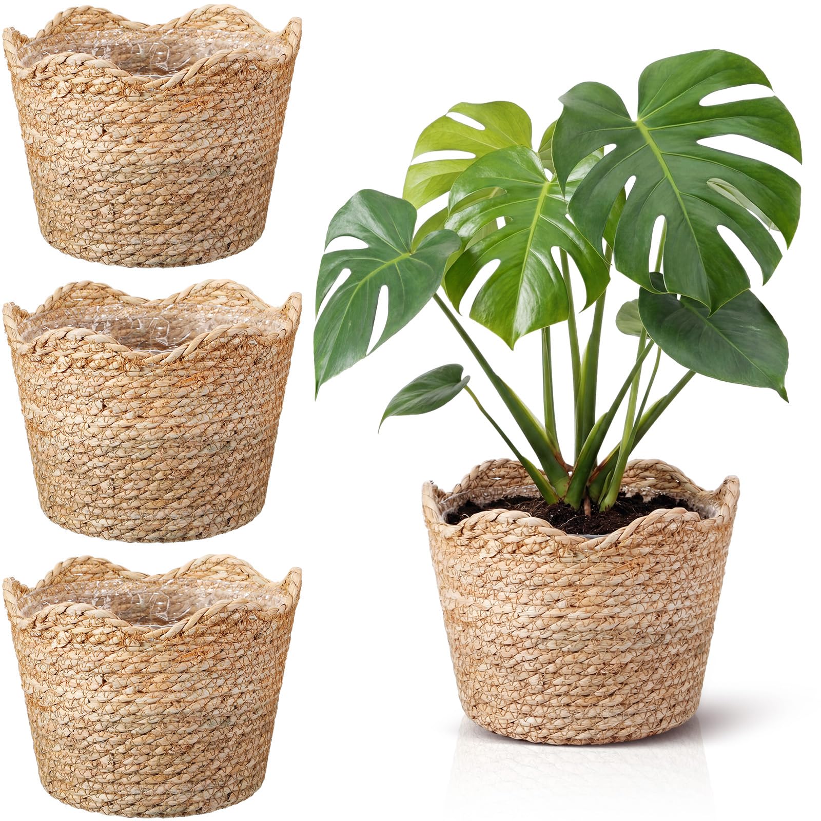 Kritkin front view of four seagrass planters showcasing coordinated decor benefit
