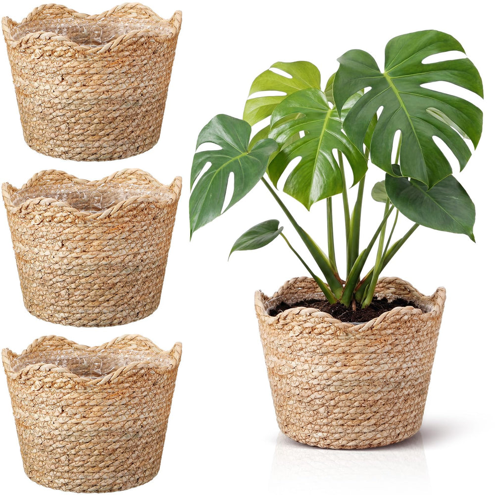 Kritkin front view of four seagrass planters showcasing coordinated decor benefit