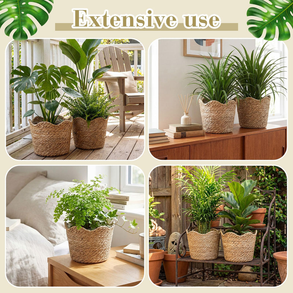 Kritkin planter in use with potted plant adding natural warmth to room benefit