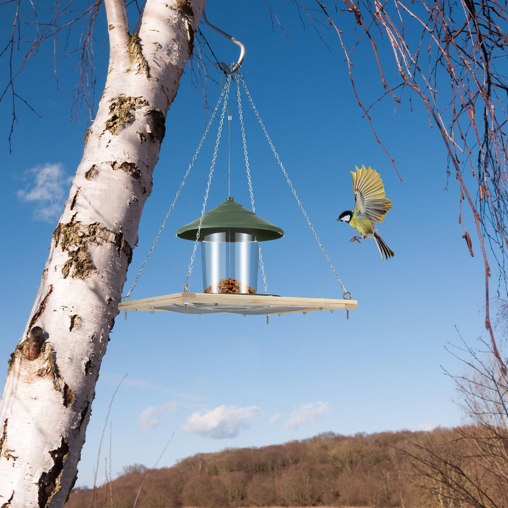 Kritkin platform with bird perched demonstration highlighting larger-bird landing and viewing benefit