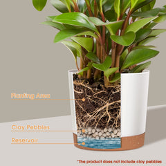 kubvici rim close-up highlighting matte finish and durable edge