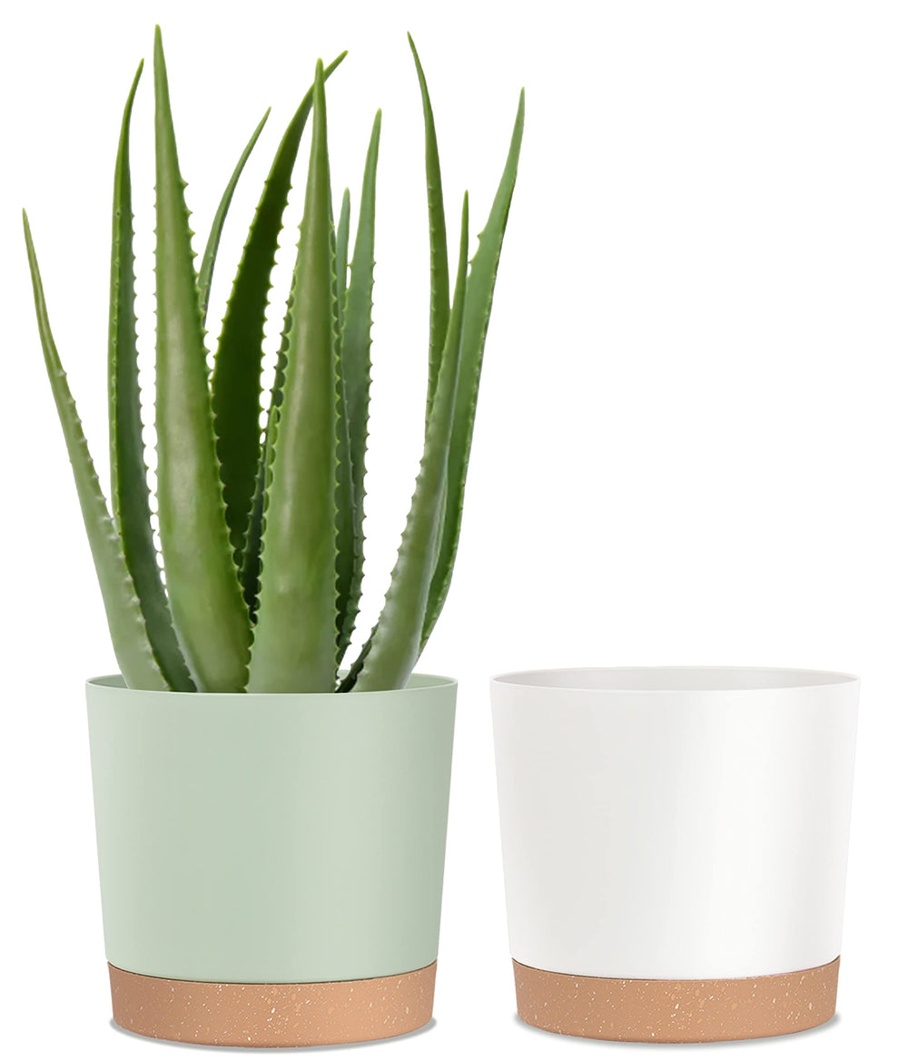 kubvici front view showing green and white pots offering modern decor