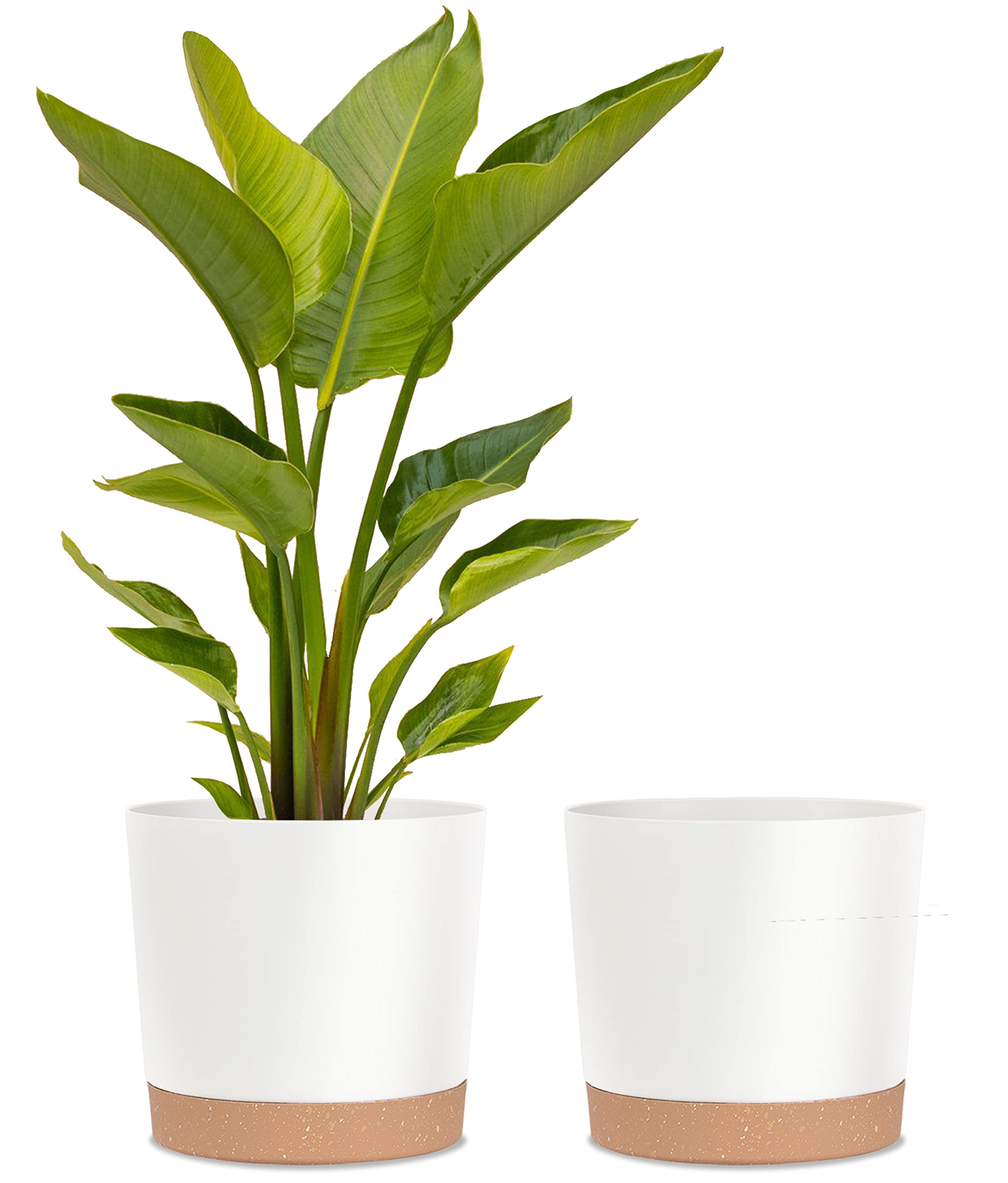 kubvici front view showing white and green pots and clean aesthetic