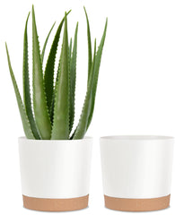 kubvici front view of white and green pots showing modern style and versatility