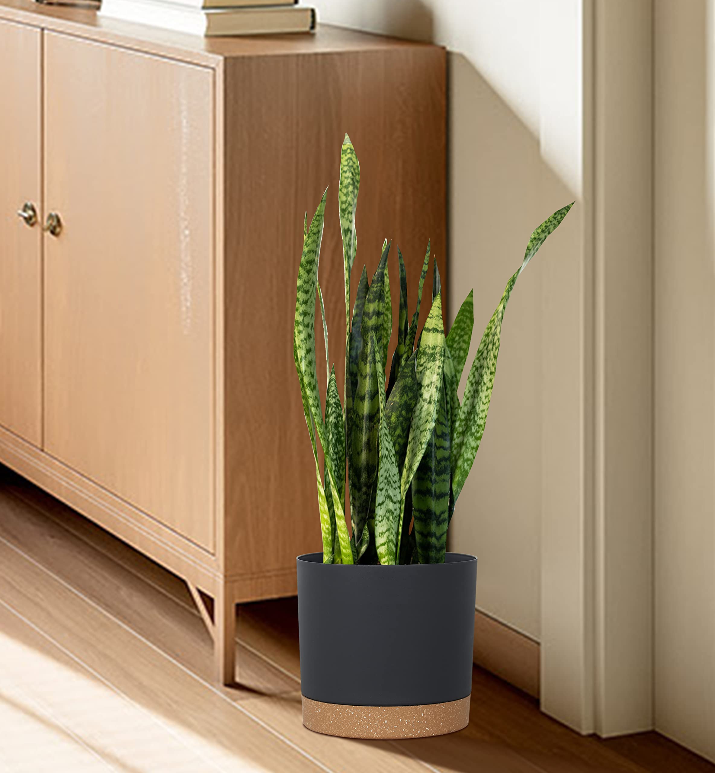 kubvici pot filled with soil and plant showing ready-to-use convenience