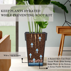kubvici side profile with snake plant to show height and planting options