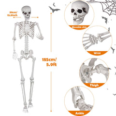 Kukooka skull close-up with realistic detail enhancing spooky visual impact