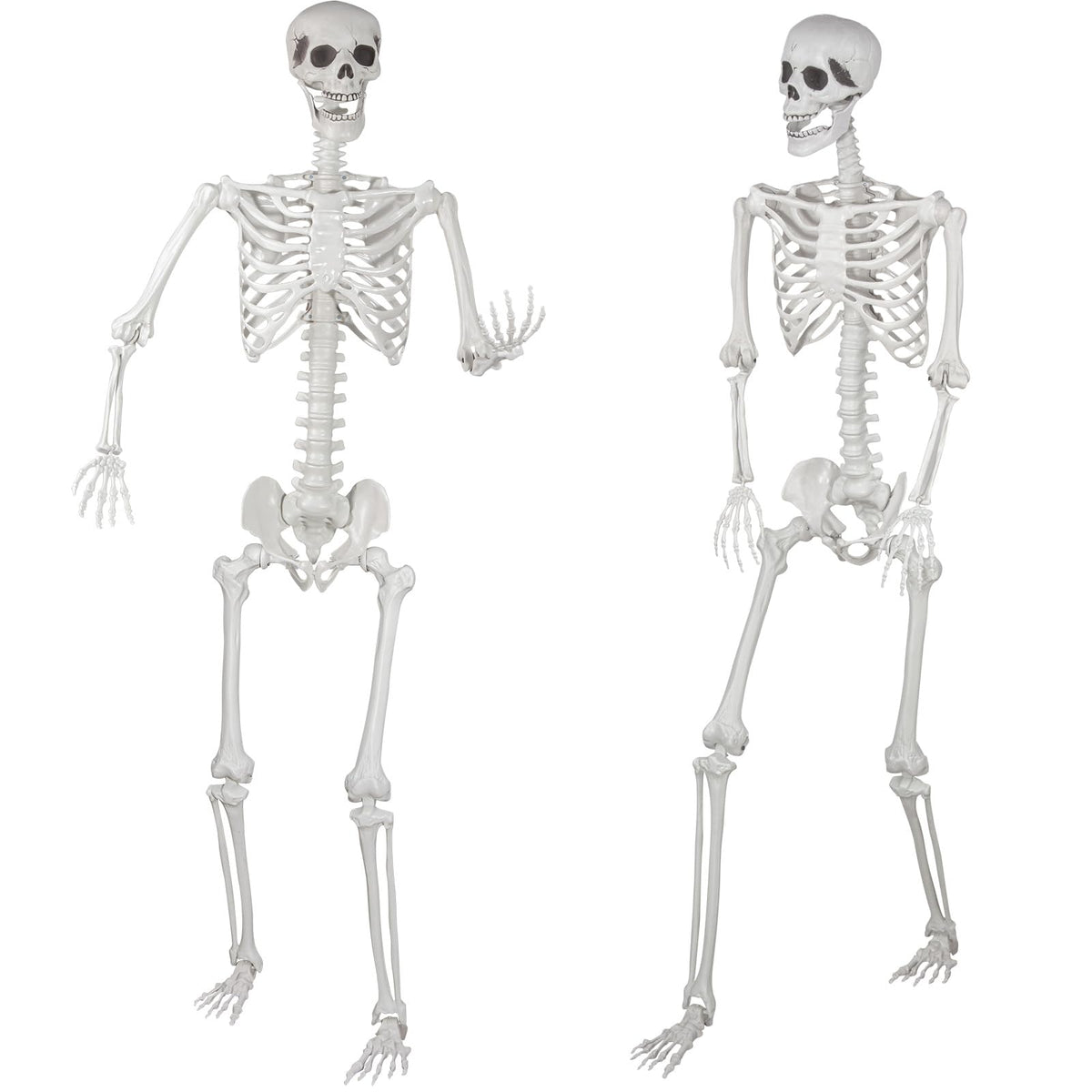 Kukooka front view full body skeleton showing life-size Halloween display benefit