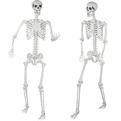 Kukooka front view full body skeleton showing life-size Halloween display benefit