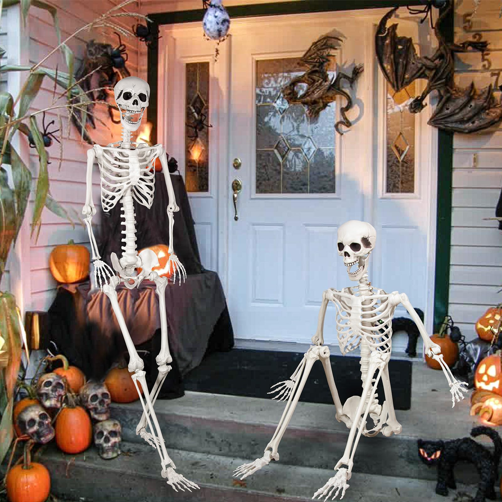 Kukooka skeleton beside chair for scale demonstrating its 5.9 ft height