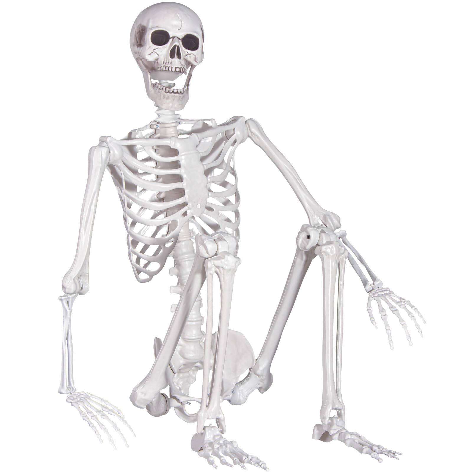 Kukooka front view life-size skeleton for realistic Halloween focal point