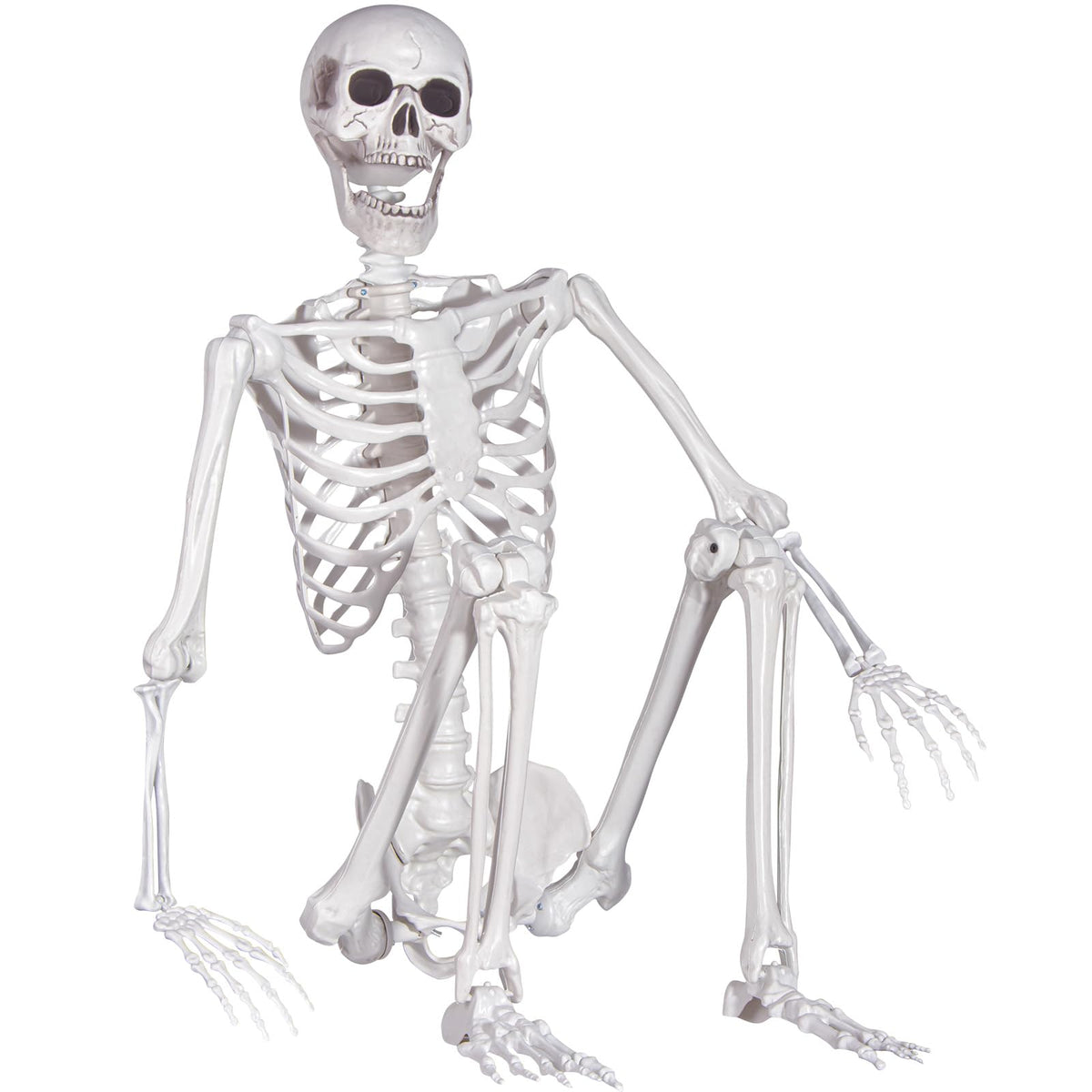 Kukooka front view life-size skeleton for realistic Halloween focal point