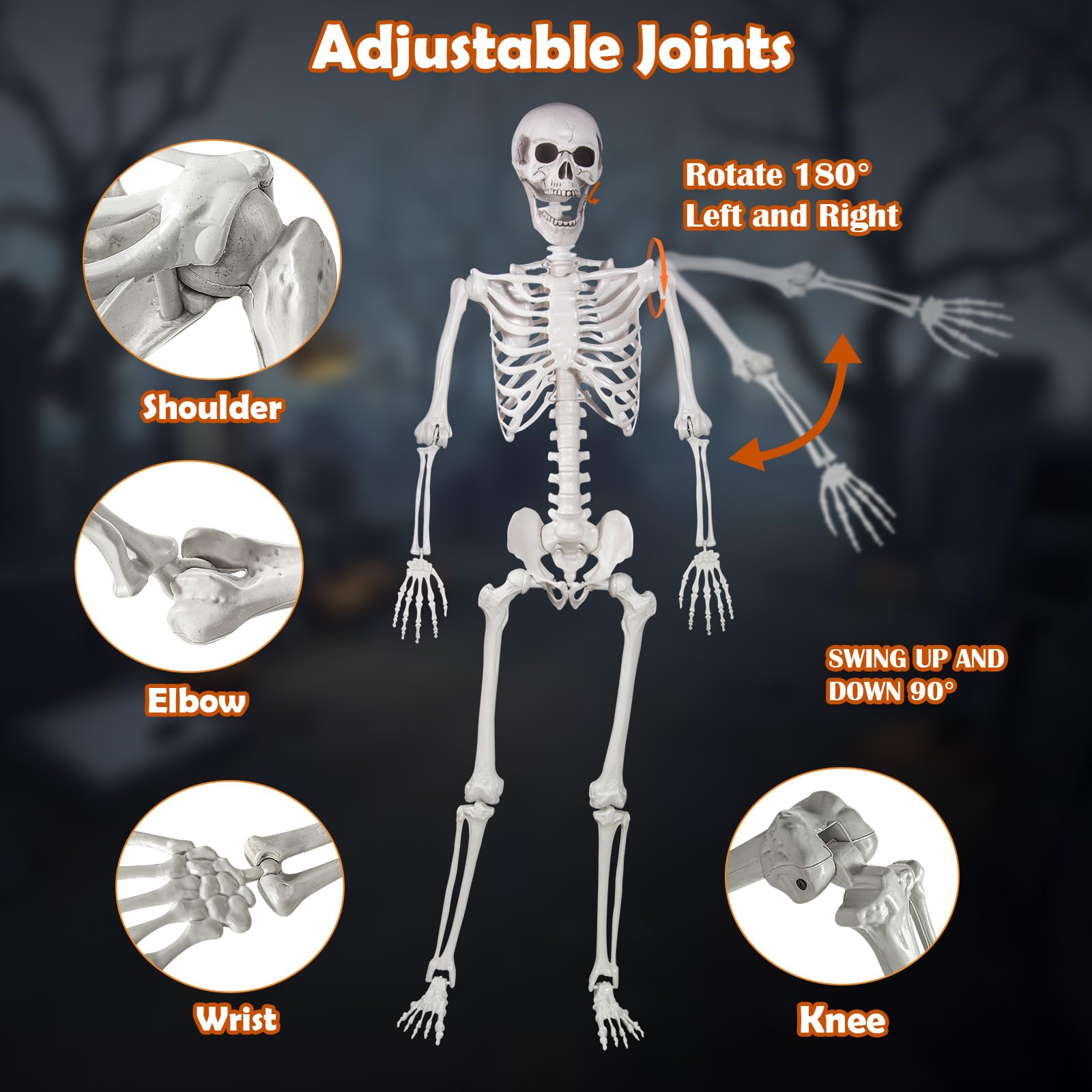 Kukooka skeleton seated on chair demonstrating flexible display options