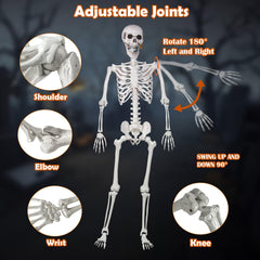 Kukooka skeleton seated on chair demonstrating flexible display options
