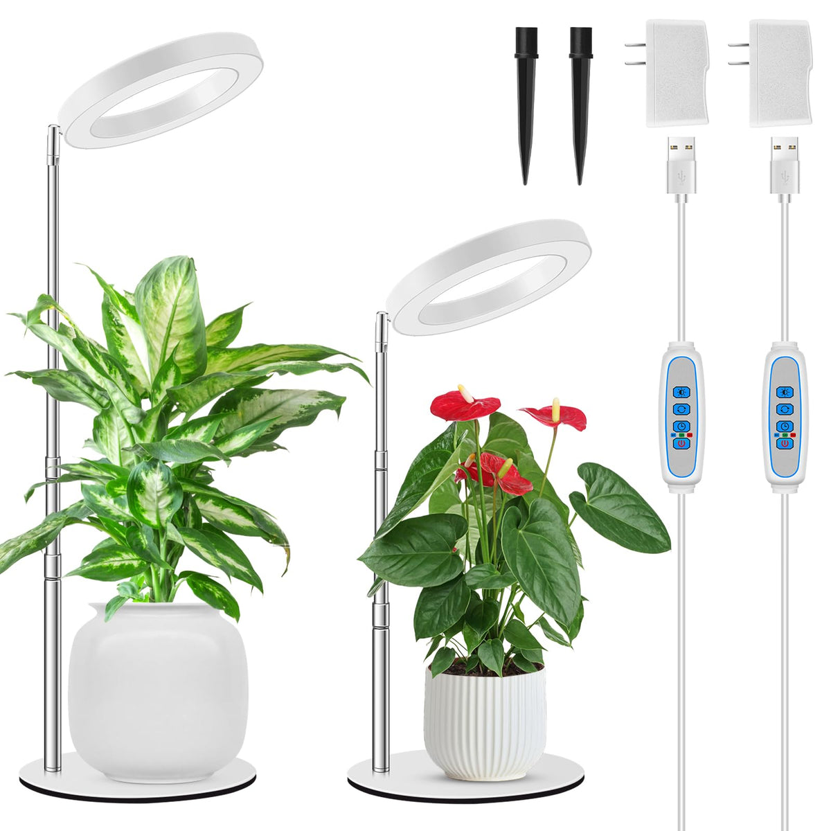 Kullsinss front view of two lamps showing compact design and versatility
