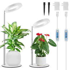 Kullsinss front view of two lamps showing compact design and versatility