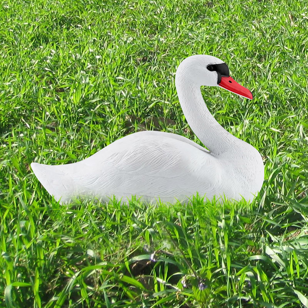 Kuuleyn swan in pond by reeds illustrating attractive garden use