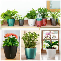 KvyusFlourish clear inner pot close-up revealing root visibility and easy checks
