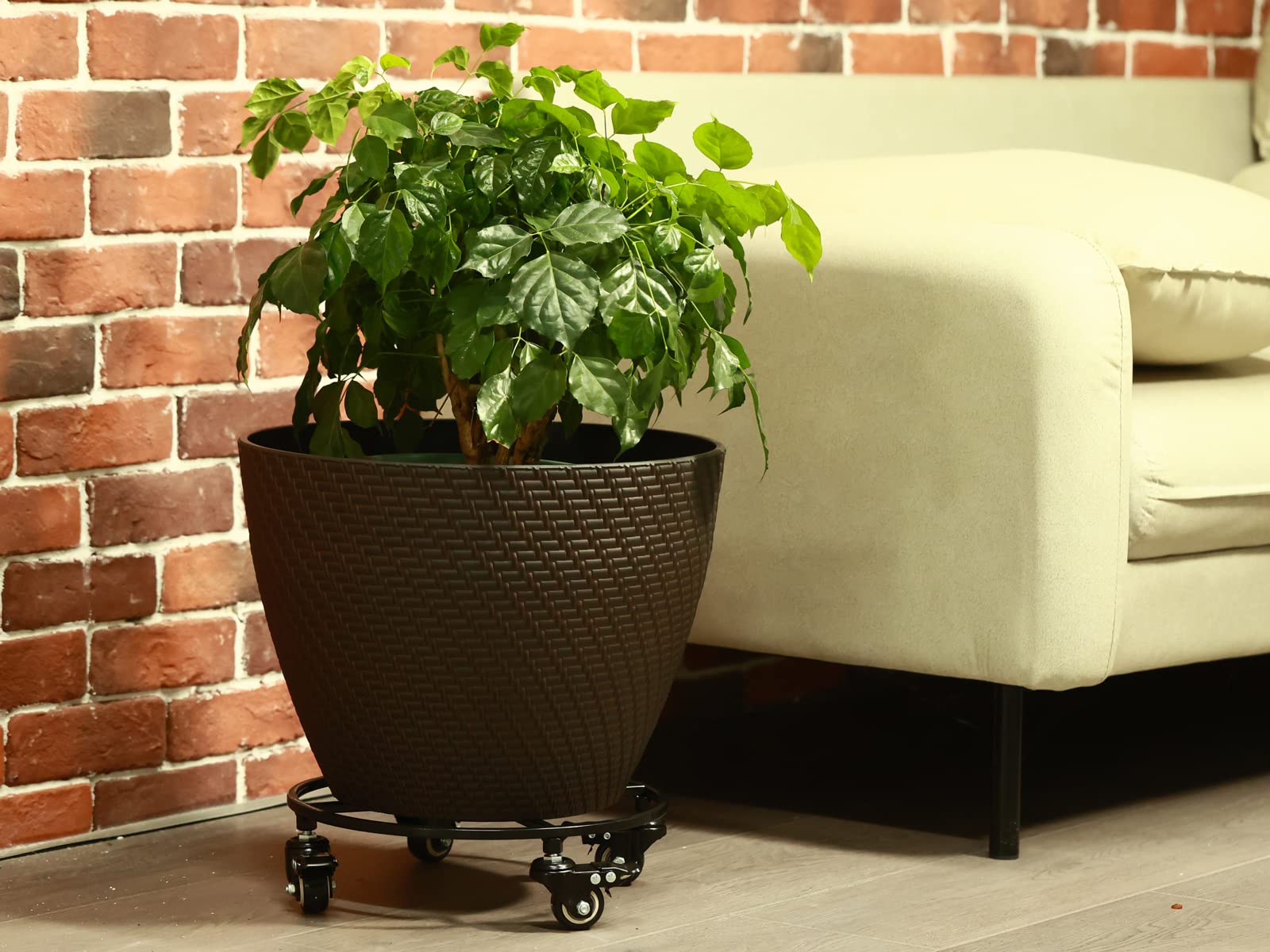 KvyusFlourish protecting hardwood floors under heavy planter to prevent scratches and dents