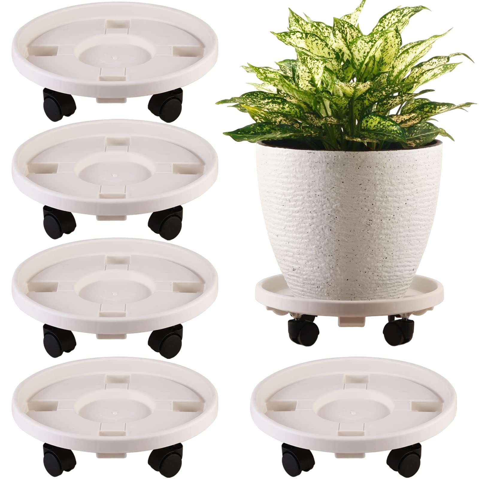 KvyusFlourish front view of five-pack for easy plant mobility
