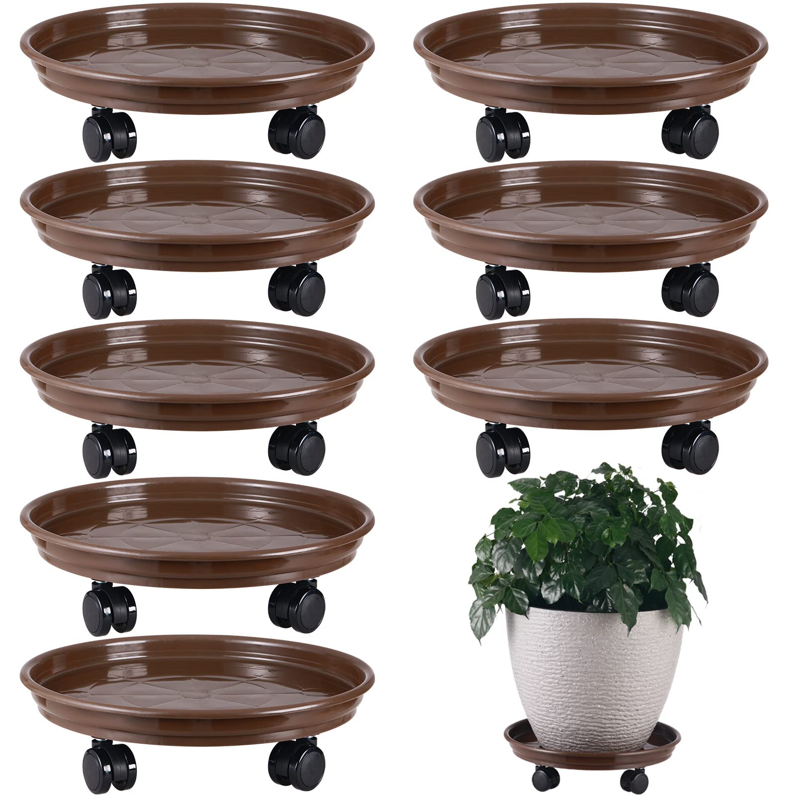 KvyusFlourish front view of eight 12-inch rolling plant caddies showing full set benefit