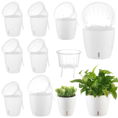 KvyusFlourish front view of white 8-pack showing neat modern design and easy care