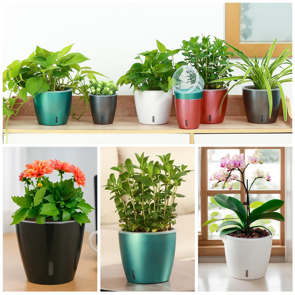 KvyusFlourish displayed on a windowsill with plant demonstrating steady watering benefit