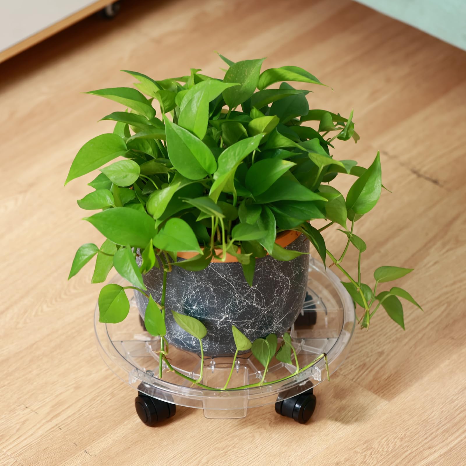 kvyusflourish living room scene highlighting discreet clear caddies for attractive displays