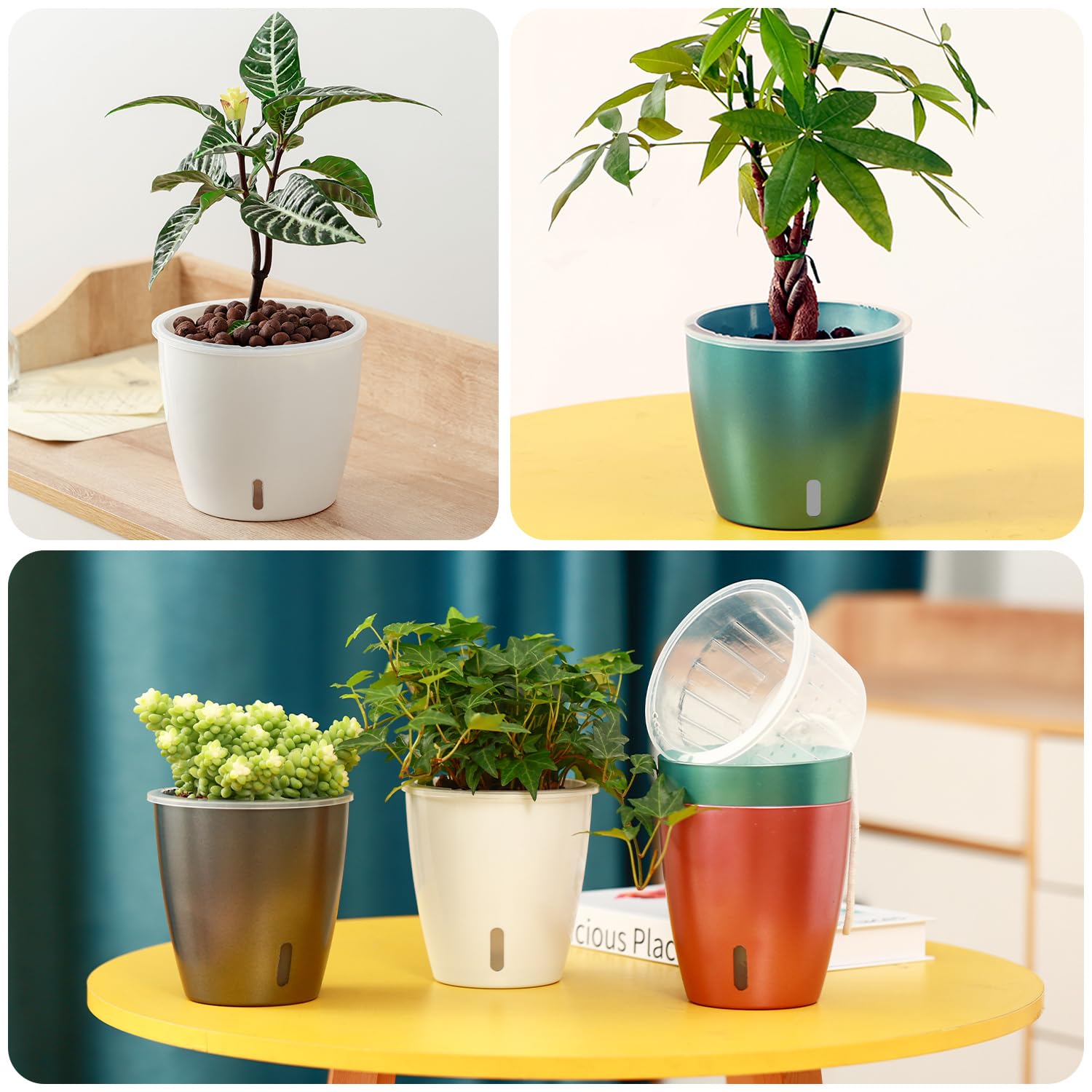 KvyusFlourish lifestyle window sill display illustrating stylish low-maintenance décor