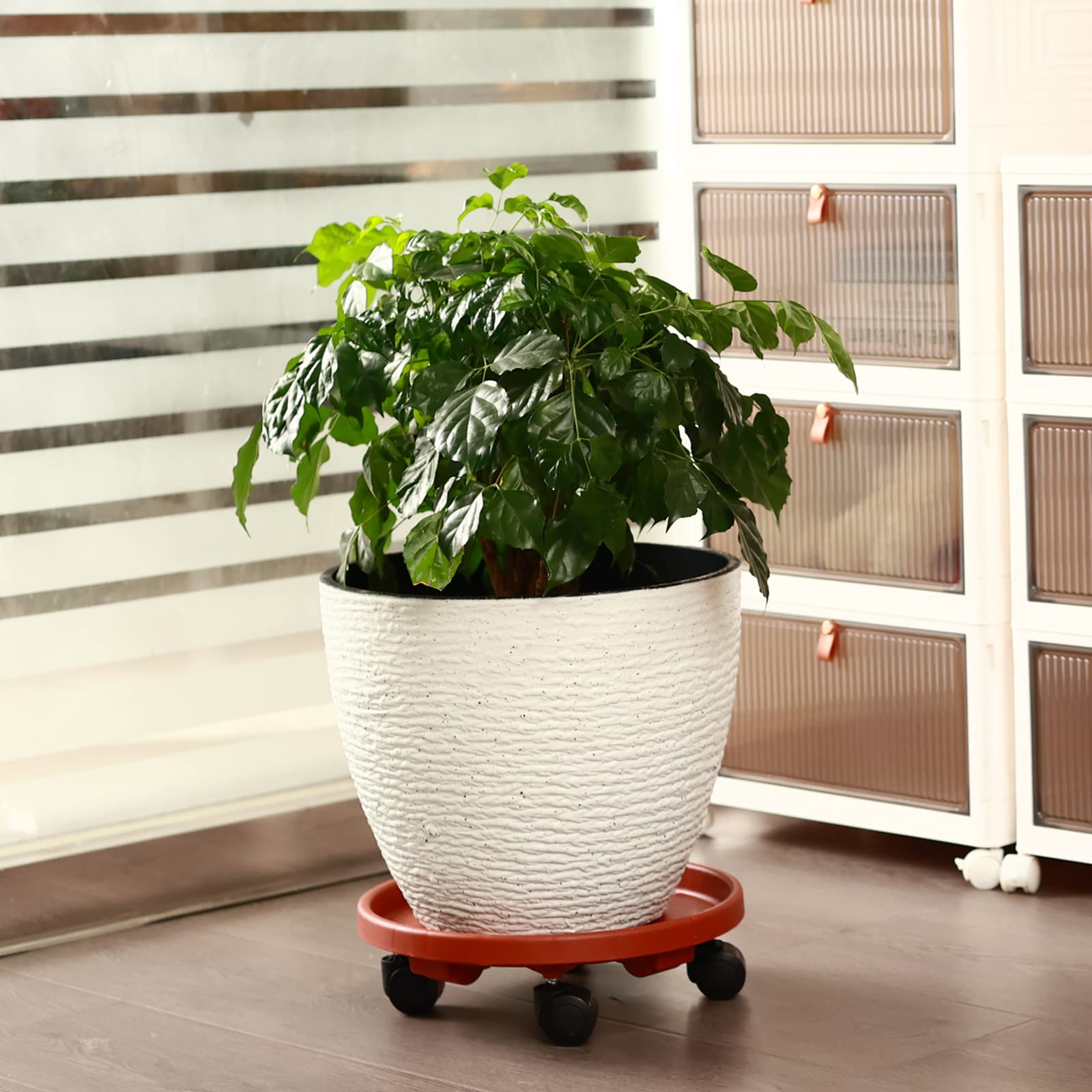 KvyusFlourish outdoor patio scene with planters on dollies for effortless rearranging