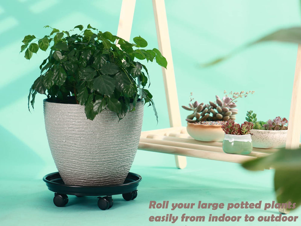 KvyusFlourish large potted tree on caddy on patio demonstrating outdoor durability