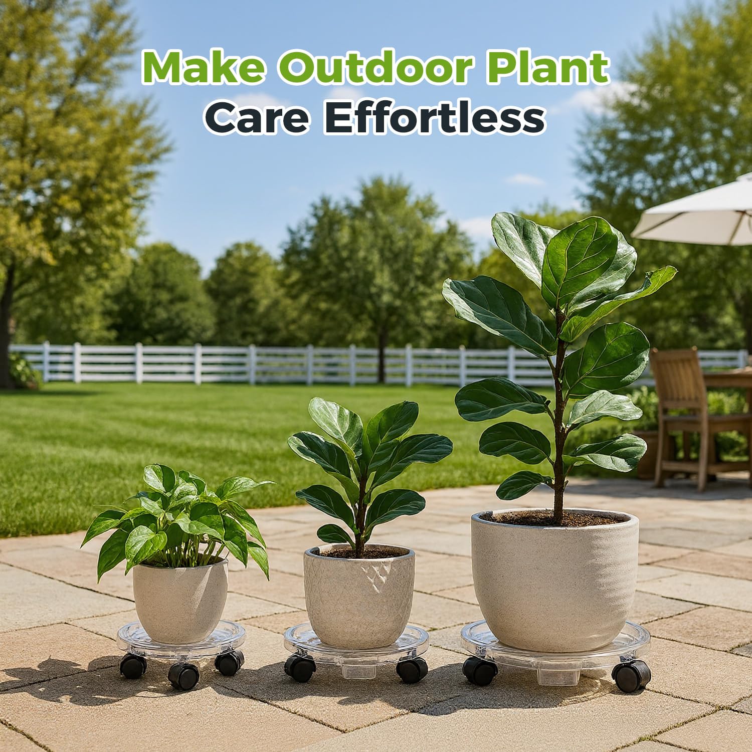 kvyusflourish potted plant on caddy indoors demonstrating effortless repositioning benefit