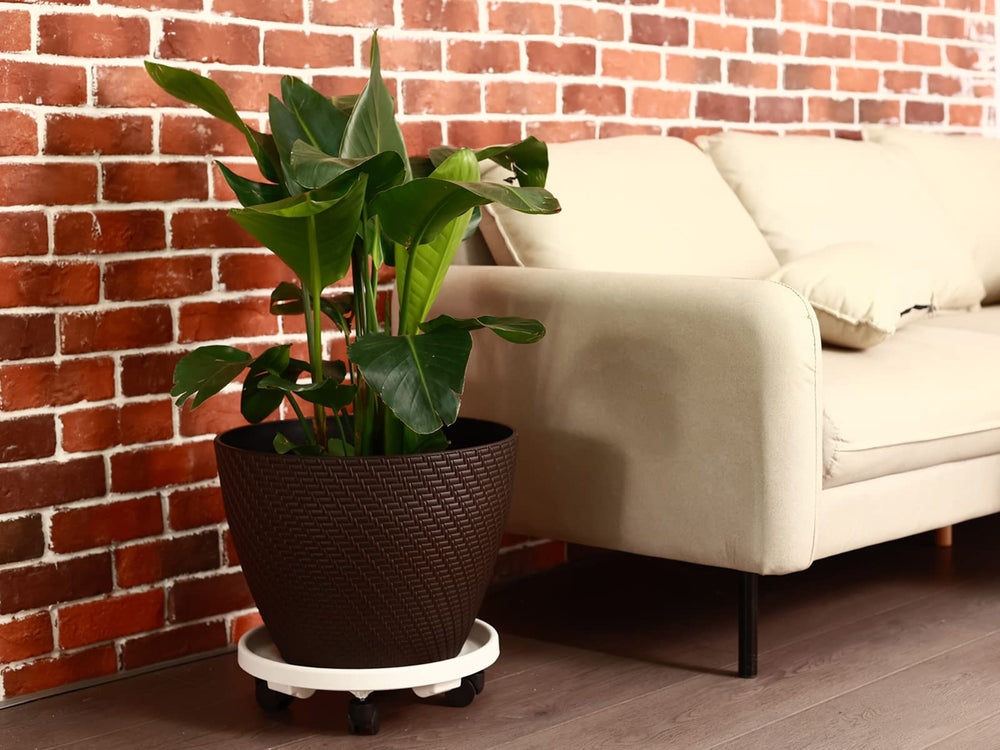 KvyusFlourish indoor planter on dolly protecting hardwood floors