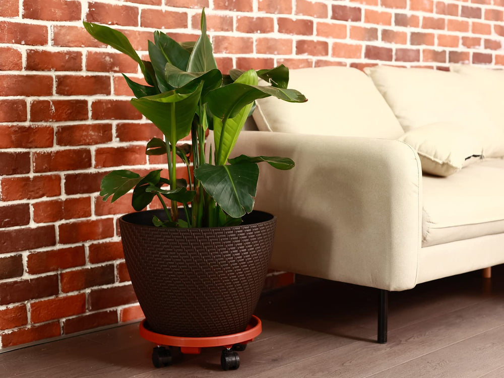 KvyusFlourish beside ruler illustrating 13 inch platform size for planter fit