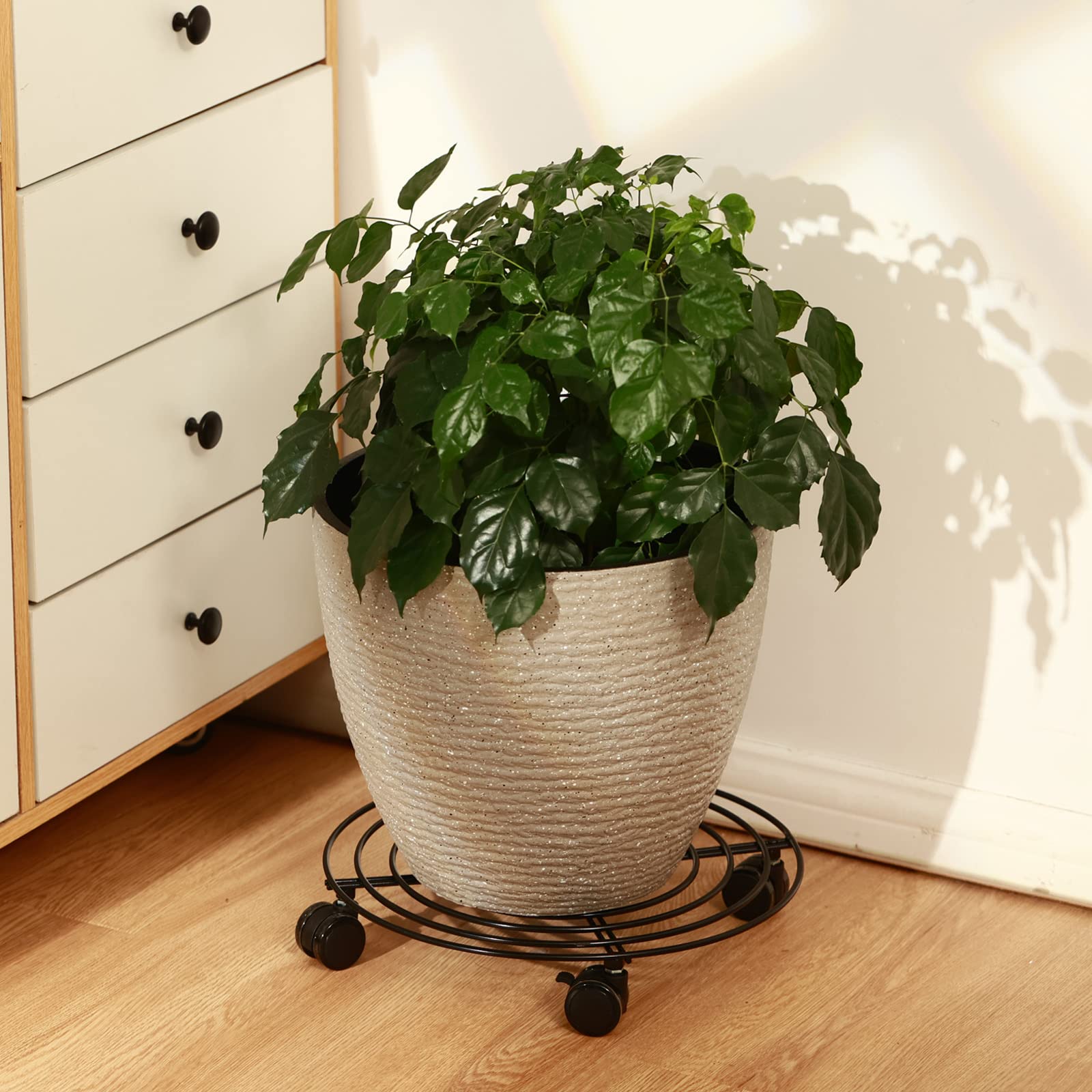 KvyusFlourish size comparison with ruler showing 12-inch diameter to fit common pots