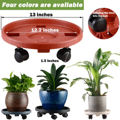 KvyusFlourish top view showing saucer lip that captures drainage and protects floors