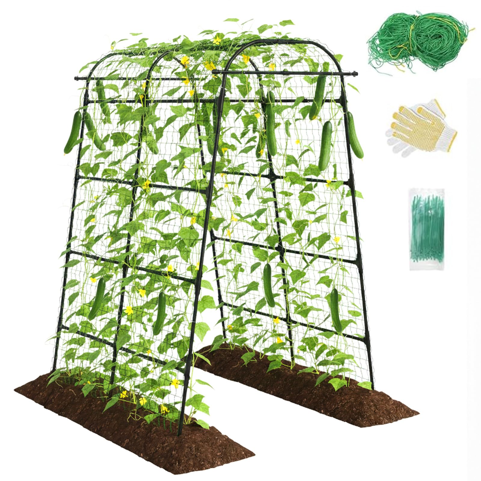 Kweetle arch front view showing full-height support and visual appeal