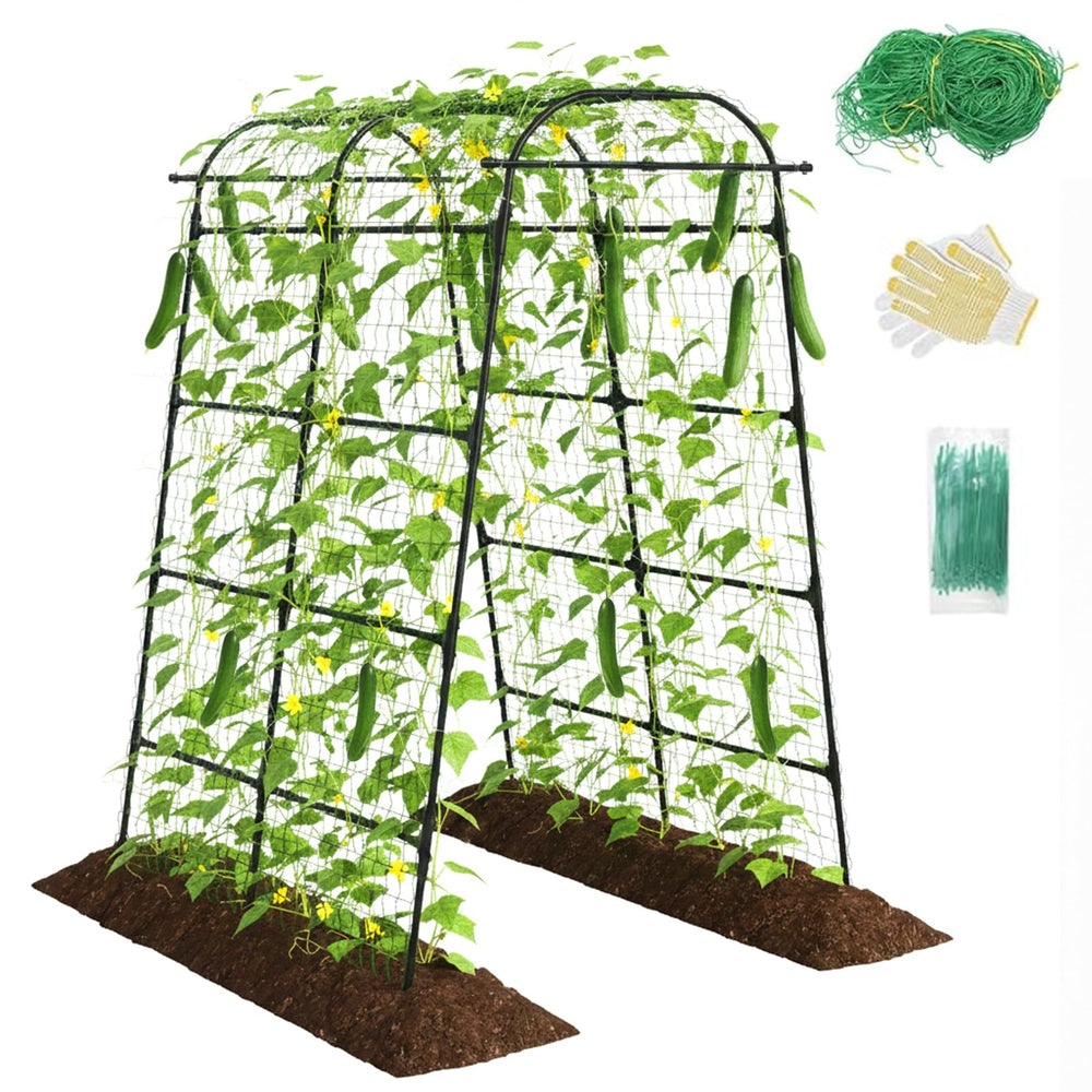 Kweetle arch front view showing full-height support and visual appeal