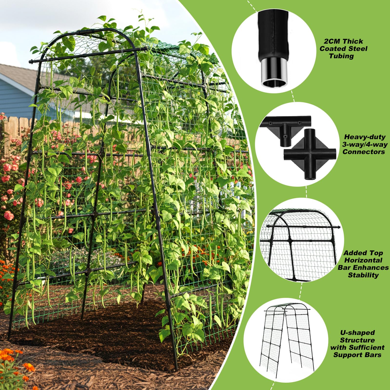 Kweetle arch with gardener harvesting tomatoes under the tunnel