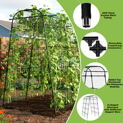Kweetle arch with gardener harvesting tomatoes under the tunnel
